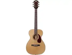 Guild USA F-20 Standard main image