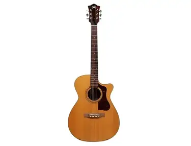 Guild USA F-30CE Standard