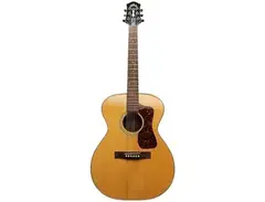 Guild USA F-30HG main image
