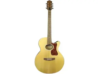 Guild USA F-4CEHR