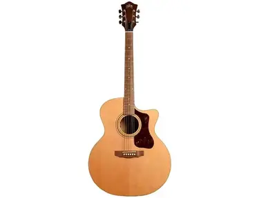 Guild USA F-50CE Standard