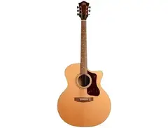 Guild USA F-50CE Standard main image