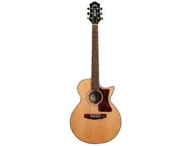 Guild USA S4CEHG