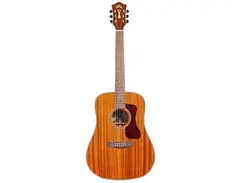 Guild Westerly Collection D-120E main image