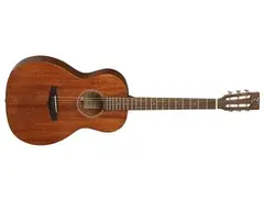 Tanglewood TW-133 main image