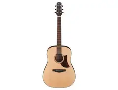 Ibanez AAD100E Advanced Acoustic Dreadnought main image