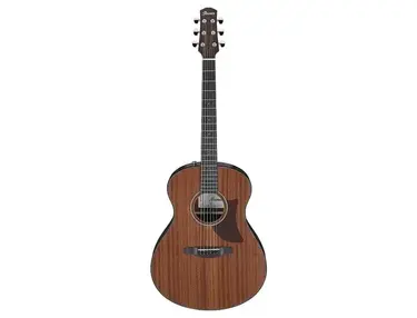 Ibanez AAM54 Advanced Acoustic