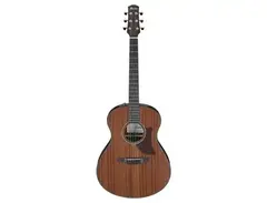 Ibanez AAM54 Advanced Acoustic main image