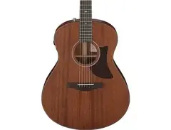 Ibanez AAM740E Platinum Advanced Acoustic main image