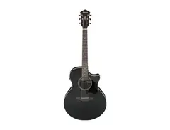 Ibanez AE140 main image