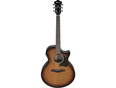 Ibanez AE160 Performer Deluxe