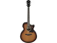 Ibanez AE160 Performer Deluxe main image
