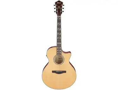 Ibanez AE170 Performer Deluxe