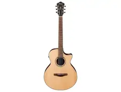 Ibanez AE275BT Baritone main image