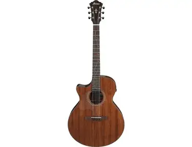 Ibanez AE295L Left-Handed