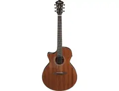 Ibanez AE295L Left-Handed main image
