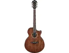 Ibanez AE295LTD AE Acoustic-Electric main image