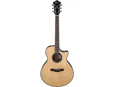 Ibanez AE410