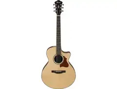 Ibanez AE519 main image