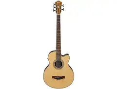 Ibanez AEB105E Standard main image