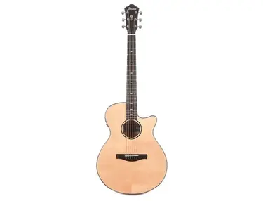 Ibanez AEG200 Grand Concert