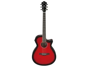 Ibanez AEG7