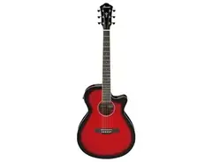 Ibanez AEG7