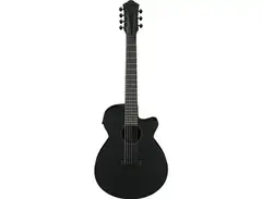 Ibanez AEG721 main image