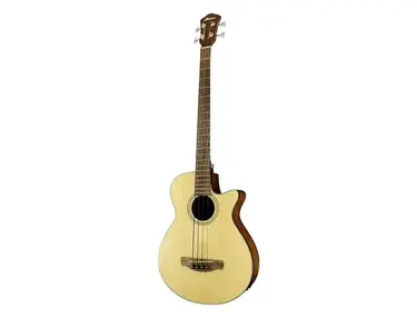 Ibanez AEGB10E Standard
