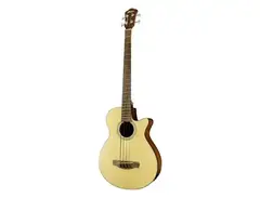 Ibanez AEGB10E Standard main image