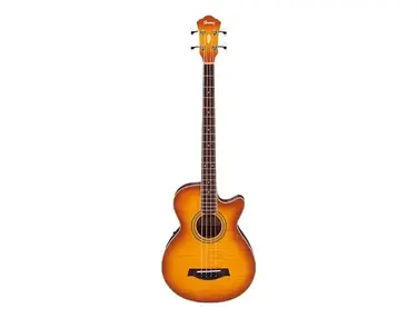 Ibanez AEGB20E Standard