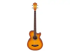 Ibanez AEGB20E Standard main image