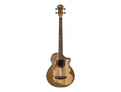 Ibanez AEWB50 Standard main image
