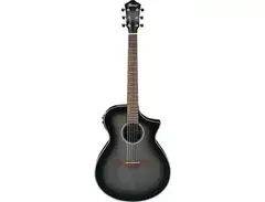 Ibanez AEWC11 Grand Concert main image