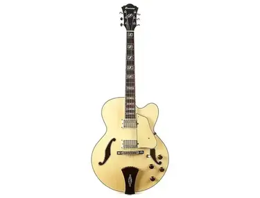 Ibanez AF100 Artcore Custom