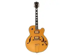 Ibanez AF220 Artstar main image