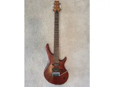 Ibanez AFD40-Z Artfield