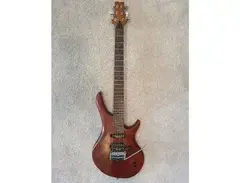 Ibanez AFD40-Z Artfield main image