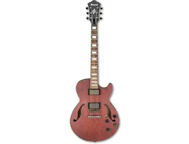 Ibanez AGS83BZ Artcore