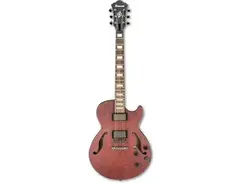 Ibanez AGS83BZ Artcore main image