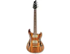 Ibanez AJD91C Artcore main image