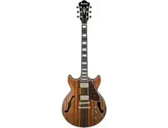 Ibanez AM93ME Artcore Expressionist main image