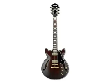 Ibanez AM93RW Artcore Expressionist
