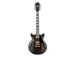 Ibanez AM93RW Artcore Expressionist main image