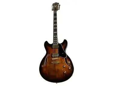 Ibanez AS113B Artstar Standard