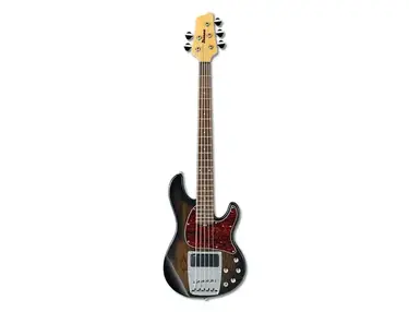 Ibanez ATK205TP Standard