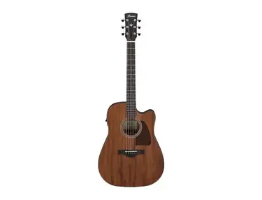 Ibanez AW247CE Artwood