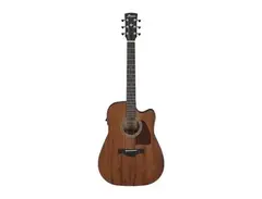 Ibanez AW247CE Artwood main image