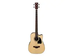 Ibanez AWB50CE Artwood Bass main image