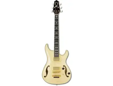 Ibanez AWD102 Artcore Custom